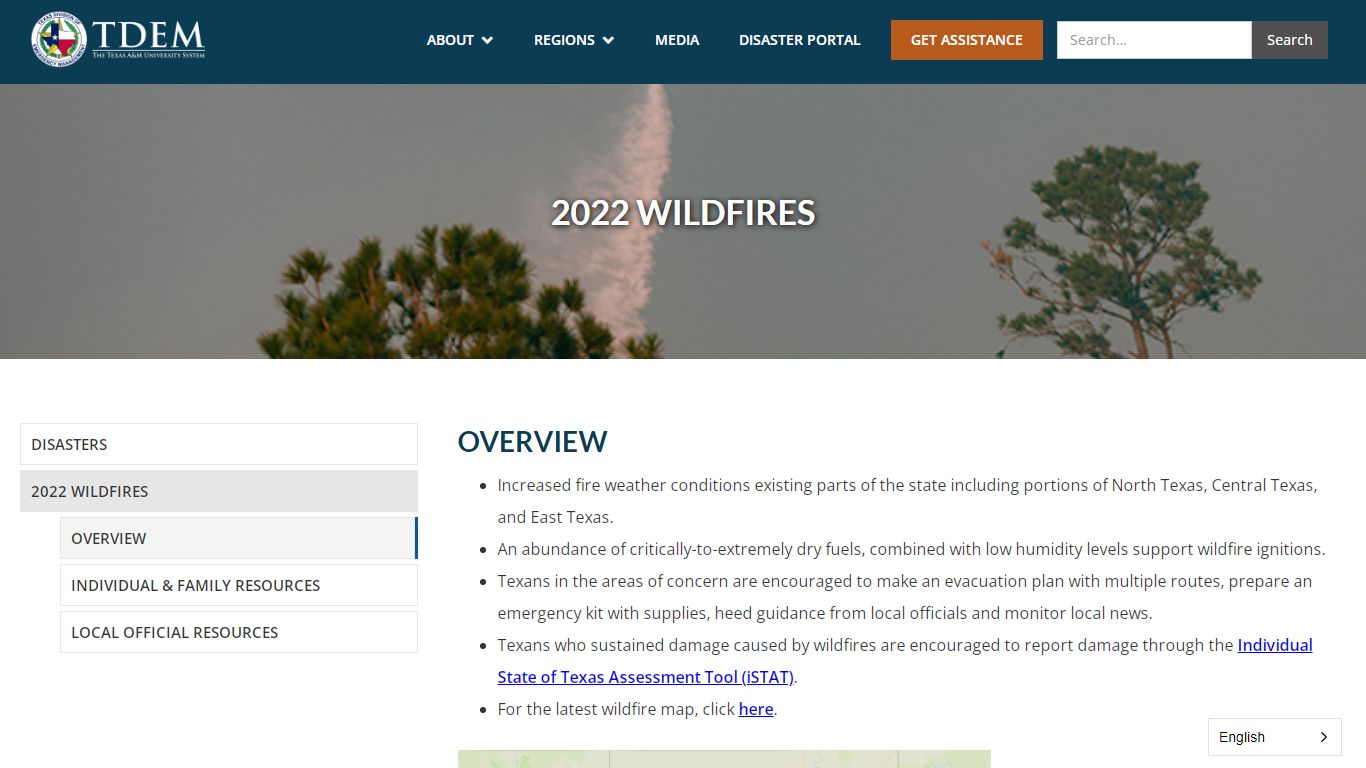 2022 Wildfires - tdem.texas.gov